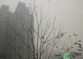 霧霾天開空調(diào)會不會污染室內(nèi)空氣？