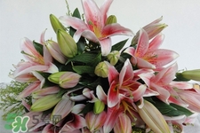 百合花能放花瓶里養(yǎng)嗎？百合花在花瓶里怎么養(yǎng)？