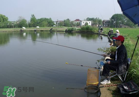 春天釣魚用什么餌料？春天釣魚用腥還是香？