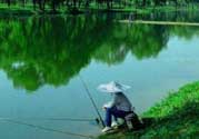 春天釣魚用什么餌料？春天釣魚用腥還是香？