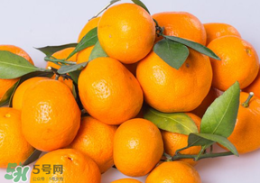 桔子批發(fā)多少錢一斤？桔子多少錢一斤？
