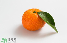 桔子批發(fā)多少錢一斤？桔子多少錢一斤？