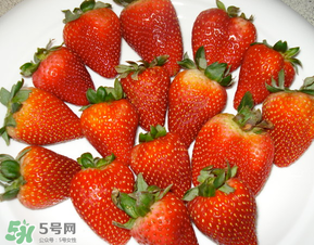 奶油草莓是什么品種？奶油草莓和巧克力草莓的區(qū)別 