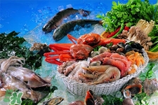 禽流感可以吃海鮮嗎？禽流感期間能吃海鮮嗎？