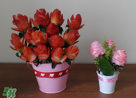 草莓花束怎么做？草莓花束怎么扎起來？