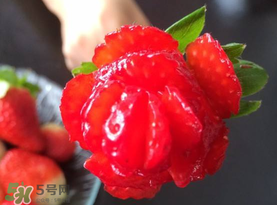 草莓花束怎么做？草莓花束怎么扎起來？