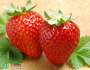 九九草莓好嗎？九九草莓和牛奶草莓區(qū)別 