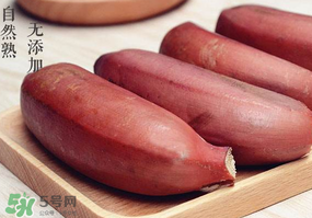 紅色香蕉和黃香蕉哪個(gè)好？紅香蕉和普通香蕉的區(qū)別