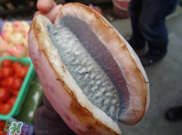 野香蕉可以吃嗎？野香蕉怎么吃？
