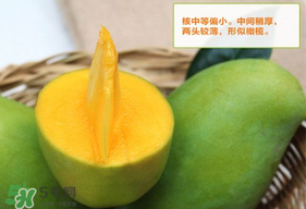 青芒果硬的能吃嗎？青芒果沒熟能吃嗎？