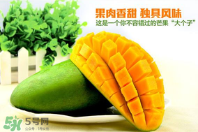 青芒果硬的能吃嗎？青芒果沒熟能吃嗎？