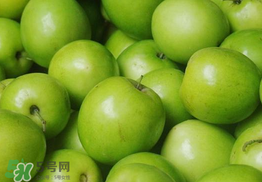 青棗是熱性還是涼性？青棗是涼性的嗎？