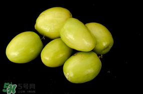 青棗什么時候上市？青棗什么時候成熟？