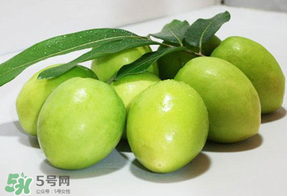 青棗什么時候上市？青棗什么時候成熟？