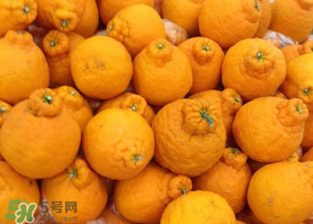 丑橘是轉(zhuǎn)基因嗎？丑八怪是轉(zhuǎn)基因的嗎？