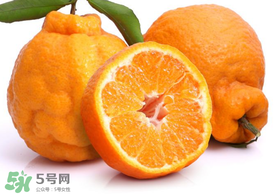 丑橘是轉(zhuǎn)基因嗎？丑八怪是轉(zhuǎn)基因的嗎？