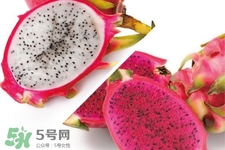 3月份有火龍果吃嗎？三月份可以吃火龍果嗎？