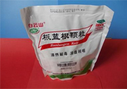 預防禽流感吃什么藥？板藍根可以預防禽流感嗎？