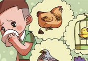 如何區(qū)分感冒和禽流感？禽流感和感冒的區(qū)別