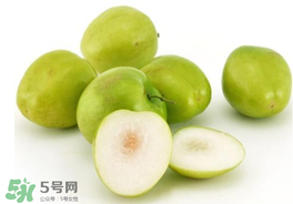 青棗可以泡酒嗎？青棗泡酒喝有什么好處？