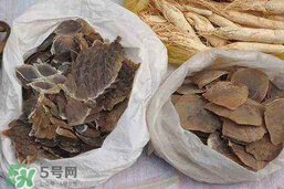 穿山甲下奶怎么吃？穿山甲下奶效果好嗎？