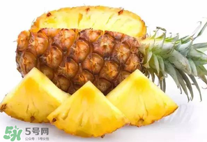 菠蘿批發(fā)多少錢一斤？菠蘿批發(fā)價格