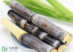 甘蔗為什么會(huì)變黑？甘蔗放久了為什么會(huì)變黑？
