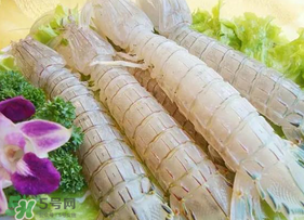 皮皮蝦為什么沒有肉？皮皮蝦為什么里面沒肉？