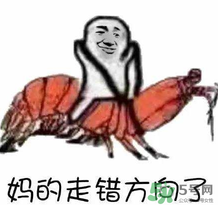 說(shuō)人皮皮蝦是什么意思？女生叫男生皮皮蝦什么意思？