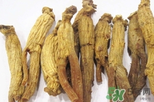 高麗參適合什么人吃？什么人不能吃高麗參？