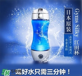 水素杯的價格是多少？水素杯日本價格多少？