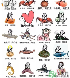 用皮皮蝦罵人什么意思？罵人皮皮蝦什么意思？