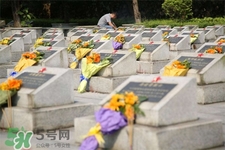 清明節(jié)能出游嗎？清明節(jié)可以出去旅游嗎？