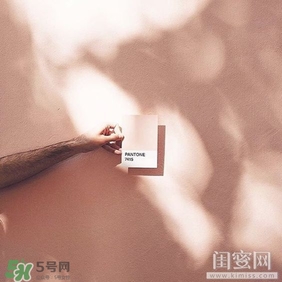 肉桂色口紅哪個牌子好？肉桂色口紅推薦