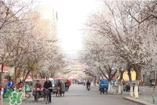 倒春寒是一種什么冷？倒春寒為什么會冷？