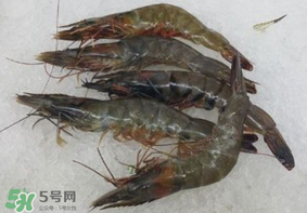 青蝦變黑了還能吃嗎？青蝦為什么變黑？