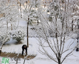春天下雪意味著什么？春天為什么會下雪？