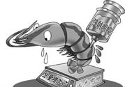 活蝦灌膠水是真的嗎？活蝦灌膠水人吃了會有什么害處？
