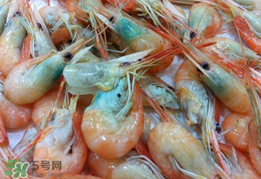 蝦變綠了能吃嗎？?jī)鑫r變綠了能吃嗎？