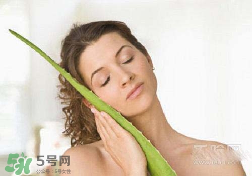 蘆薈涂在臉上發(fā)癢是怎么回事？蘆薈涂在臉上發(fā)癢怎么辦？