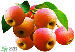 南國梨為什么有酒味？南果梨有酒味能吃嗎？