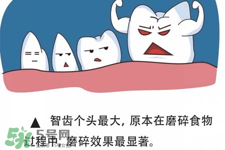 智齒經常發(fā)炎怎么辦？智齒反復發(fā)炎腫痛怎么辦？