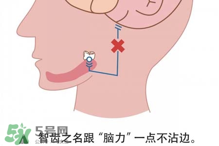智齒會引起耳鳴嗎？耳鳴跟智齒有關系嗎？