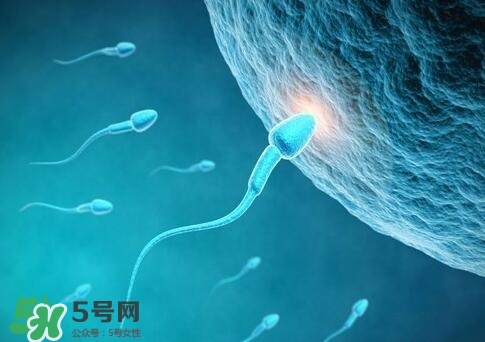 如何提高精子質(zhì)量與成活率？精子質(zhì)量怎么調(diào)理？