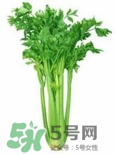 負(fù)卡路里的食物有哪些？負(fù)卡路里食物真的吃不胖嗎？