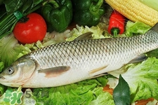 草魚能生吃嗎？草魚可以直接生吃嗎？