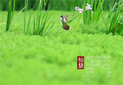 驚蟄吃什么蔬菜好？驚蟄節(jié)氣養(yǎng)生吃什么蔬菜？