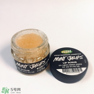 lush唇部磨砂膏怎么用？lush唇部磨砂膏使用方法