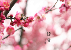 驚蟄如何養(yǎng)生？驚蟄前后如何養(yǎng)生？