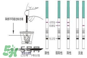 驗孕試紙準嗎？驗孕試紙怎么看求圖解